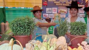 Tacna organiza XIX Festival Regional del Orégano