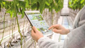 Tecnologías IoT buscan transformar la agricultura peruana