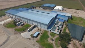 Unifrutti adquiere a la peruana Safco y consolida su posición en el mercado global de uva de mesa