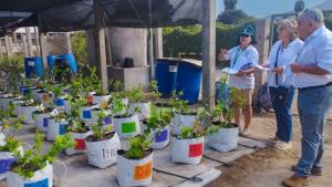 Universidad Nacional Agraria La Molina impulsa la innovación y el desarrollo tecnológico a través de INNOVAGRUM