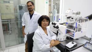 UNMSM revoluciona la investigación en alpacas gracias a un microscopio confocal de última generación