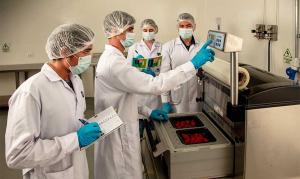 USIL gana concurso de Concytec para producir  hidrolizado proteico de quinua