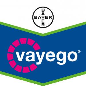 VAYEGO®: Completo, potente, rápido