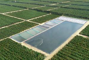 Virú avanza en sostenibilidad con acciones en eficiencia energética, cuidado del ambiente, reúso de descartes y optimización hídrica