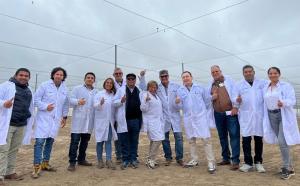 Vivero Los Viñedos y SynergiaBIO Chile se unen para revolucionar la producción de plantas en Perú