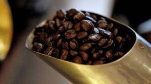 Volcafé abre segunda planta de procesamiento en Perú