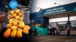 Abastecen alimentos con plaguicida vetado desde 2023 en el Gran Mercado Mayorista de Lima