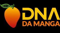 ADN del Mango: Evento fundamental para la industria de los mangos brasileños