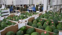 Agroexportaciones concentraron el 10.8% del total de las exportaciones  peruanas a agosto del 2026