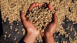Agroexportaciones peruanas bordean los US$ 5,000 millones a mayo de 2026