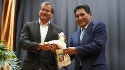 Algodón mejorado de La Molina apunta a renovar la producción textil peruana