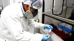 Aprueban el Plan Anual de Monitoreo de Residuos Químicos en Alimentos