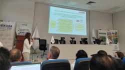 Articulan acciones para enfrentar la emergencia fitosanitaria del cultivo de banano