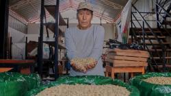 Cafetaleros del VRAEM participarán en la Taza de Excelencia 2025