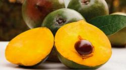 Caída en las exportaciones de lúcuma peruana en 2025