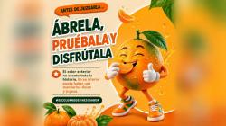 Campaña “Vive Mandarina” de Procitrus busca aumentar el consumo nacional de la fruta