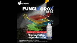 Capeagro presenta Fungivorox 400 sc