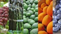 Chile y México entre los principales destinos de la agroexportación peruana hasta junio de 2026