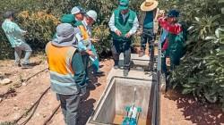 Culmina proyecto de riego tecnificado que potenciará la producción de la cadena de palto