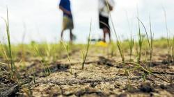Cultivida recomienda estar en alerta ante posible intensificación del Niño Costero
