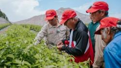 Danper presenta medición del índice de pobreza multidimensional en su cadena de valor agrícola