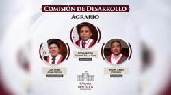 Diputado Édgar Alvarón de la Cruz fue elegido presidente de la Comisión de Desarrollo Agrario