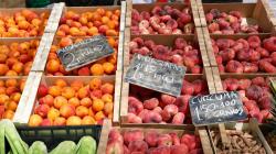 “Egipto es una gran amenaza para el sector hortofrutícola español”