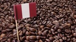 El sector café se consolida como una importante fuente de empleo