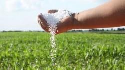 En abril: importación de urea alcanzó los US$ 44 millones