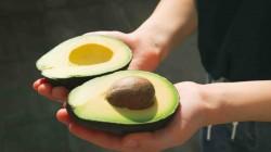 Estándares de calidad impulsan la competitividad de la palta peruana