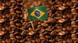 Exportación de café en grano de Brasil cayó 27.3% en volumen y 13% en valor