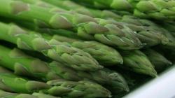 Exportaciones de espárragos de Agrícola Cerro Prieto caerían 16.67% en volumen este año