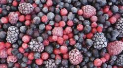 Exportaciones peruanas de frutas congeladas cerrarán el 2025 marcando récord en valor