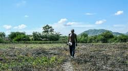Inseguridad alimentaria amenaza a América Latina