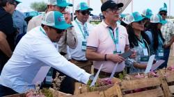 Las cebollas peruanas en los ojos del mundo.