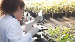 Las tecnologías agrícolas digitales crecen tres veces más rápido que la media ante el reto cada vez mayor de la seguridad alimentaria mundial