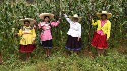 Más de 2 millones de agricultores ya están registrados en Padrón de Productores Agrarios