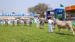 MIDAGRI inaugura XI Feria Nacional de Ganado Lechero de Raza Holstein y Brown Swiss