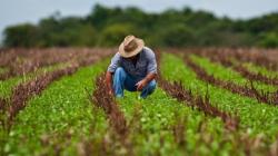 Nadie es profeta en su tierra