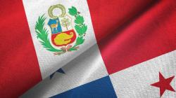 Perú se posicionó como segundo proveedor de frutas a Panamá en 2025