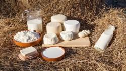 Piura produjo más de 51 millones de litros de leche en el  2025