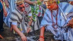 Ponen en marcha proyecto de cítricos y paltos en la selva central