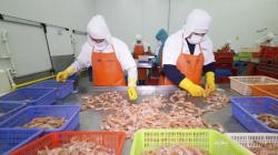 Prepublican reglamento de sanciones para garantizar inocuidad de productos hidrobiológicos