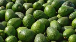 ProHass fortalece su compromiso e impulso a la Agenda Estratégica Nacional frente al cadmio