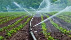 Promueven tecnificación de riego para agricultura familiar en 19 regiones