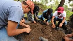 Publican propuesta de Reglamento para la Gestión de Residuos del Sector Agrario