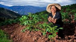 Visibilizar a la mujer es fortalecer el agro peruano